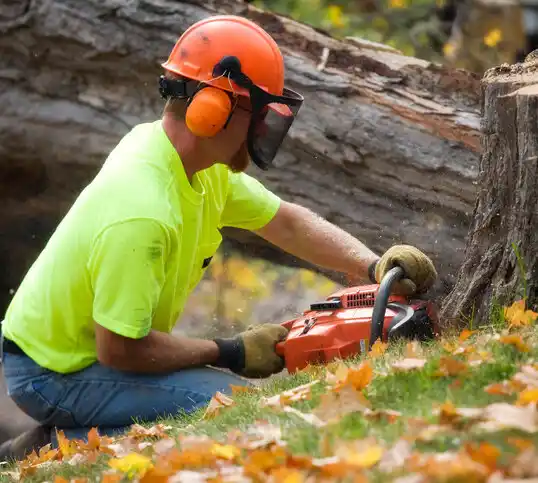 tree services Papillion